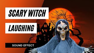 Scary Witch Laughing Sounds  Sound Effect  Animation [upl. by Akenal961]