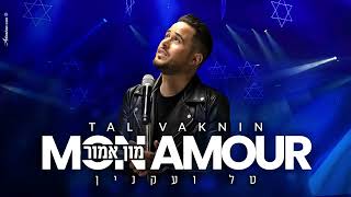 טל ועקנין  מון אמור Hebrew version ‏TAL VAKNIN  MON AMOUR COVER SLIMANE EUROVISION FRANCE [upl. by Farly549]