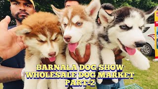 Wholesale DOG MARKET at Barnala Dog Show Punjab  Part2  Husky Labrador AM bully Poms Shihtzu [upl. by Anoit]