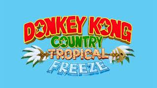 Grassland Groove  Donkey Kong Country Tropical Freeze OST [upl. by Hastie]