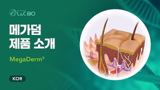 메가덤 MegaDerm 제품 소개 [upl. by Pickford]