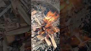 Crackling Fire ASMR 🔥✨ with ZombiePlatypus survival fire asmr fireasmr firelighting [upl. by Harvie581]