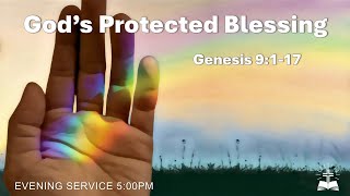 Gods Protected Blessing  Genesis 9117 [upl. by Ettenuahs]