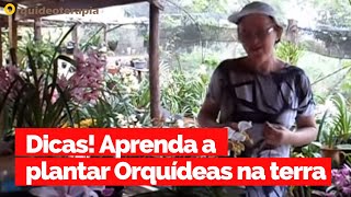 APRENDA A PLANTAR ORQUÍDEAS NA TERRA  Orquideoterapia  Teresinha Kunz [upl. by Cacilia]