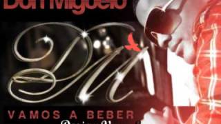 Don Miguelo  Vamos A Beber Remix Deejay Varo Lopez [upl. by Pomfret973]