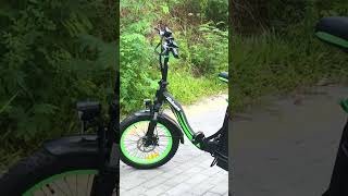 Hidoes C1  Affordable 750W Commuting Folding Electric Bike With A Back Passenger Seat ebikes [upl. by Narok]