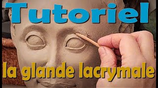 TUTORIEL  corriger l’œil et intégrer la glande lacrymale en sculpture [upl. by Sebbie796]