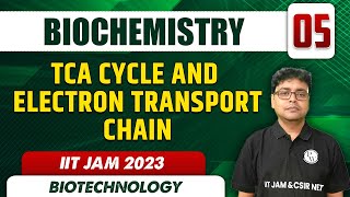 TCA Cycle and Electron Transport Chain  Biochemistry 05  Biotechnology  IIT JAM 2023 [upl. by Prent26]