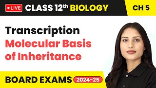 Transcription  Molecular Basis of Inheritance  Class 12 Biology Chapter 5  live [upl. by Gustavo195]