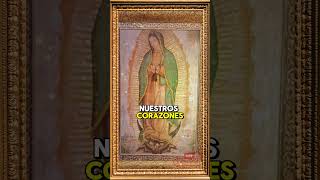 VIRGEN DE GUADALUPE mujer de ESPERANZA 1dios amor virgenmaria fyp [upl. by Idnem]