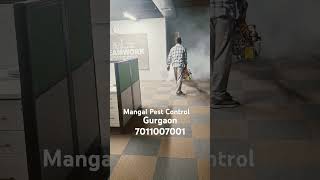 Mangal Pest Control Gurgaon automobile pestcontrol pestcontrolhatirpool pest trending viral [upl. by Mallory341]