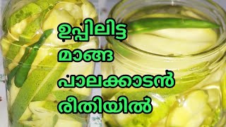 Manga Uppilittathu  മാങ്ങ ഉപ്പിലിട്ടത്  Palakkad Style How to make uppilitta manga in malayalam [upl. by Iralav969]