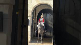 kingsguard royalkingsguards lifeguards london army horseguard horse viralvideo shorts uk [upl. by Yaker]