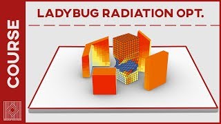 Ladybug Radiation Optimization [upl. by Dorr]