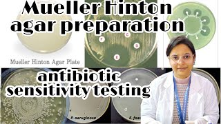 Mueller Hinton agar preparation what is the use in microbiology lab muellarhintonagarmueller [upl. by Arayc203]