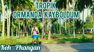 KOH PHANGAN ADASINDA TROPİK ORMANDA KAYBOLDUM [upl. by Ffirahs528]