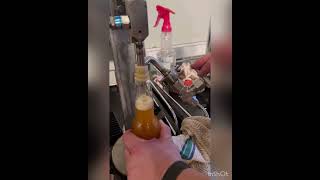 Homemade counter pressure bottle filler Works fairly wellhomebrew homebrewing spikebrewing [upl. by Arela]