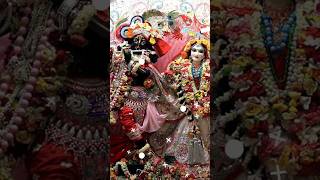 Radhe radhe japata h 💗💗 radhe radhe 💗💗 short viral video [upl. by Kerry]