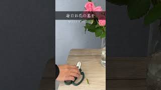 花瓶の選び方  プロが教えるお花の豆知識 flowervase trivia flowershop [upl. by Fleming511]