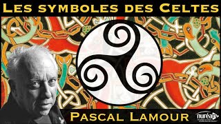 « Les symboles des Celtes » avec Pascal Lamour [upl. by Kilian]