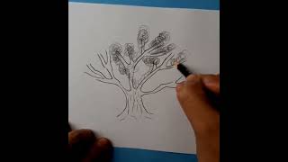 comment dessiner un arbre [upl. by Havelock]