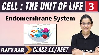 Cell  The Unit of Life 03  Endomembrane System  Class 11NEET  RAFTAAR [upl. by Urias]