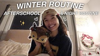 WINTER AFTERSCHOOL amp NIGHT ROUTINE  Vlogmas Day 6 [upl. by Nileuqaj]