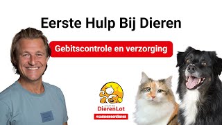 Gebitscontrole en verzorging bij je huisdier [upl. by Beaver]