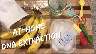 Athome DNA Extraction Lab Banana [upl. by Goldfarb]