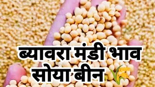 Biaora Mandi Bhav  Soybean Rate Today Biaora Mandi  makaa ka Bhav 27 November 2024mandi [upl. by Custer690]