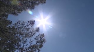 Pedernales Falls State Park conducts heatrelated rescues as temperatures continues to rise [upl. by Nepets]