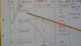 Types of Algebraic expressions Monomialbinomialtrinomial and polynomial [upl. by Anin]