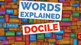 Docile  Words Explained [upl. by Ozen]