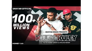 Kuley Kuley  Honey 30  Yo Yo Honey Singh amp Apache Indian  Shayan Official  shayanofficial05 [upl. by Redan]