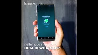 I nuovi filtri fotografici di WhatsApp per Android [upl. by Alleram825]