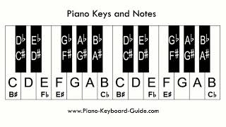 EP6 Accidentals  FLATS  SHARPS  NATURALS IN MUSIC LESSON BY SIR MARTINS movie musicalnotes [upl. by Gavan]