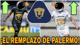 ✅DE LUJO🔥EL REMPLAZO DE PALERMO ORTIZ  LLEGARIA A PUMAS  REFUERZOS PUMAS 2024 [upl. by Selway903]