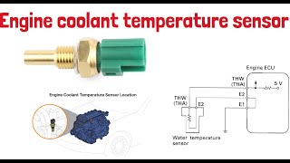 Engine Coolant Temperature Sensor [upl. by Arykat]