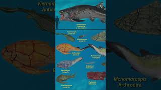 Discover the Fearsome Placoderms That Ruled the Devonian Seas [upl. by Zanahs]