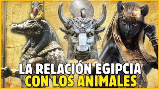 LOS INCREIBLES DIOSESANIMALES EN EL ANTIGUO EGIPTO [upl. by Hadley157]