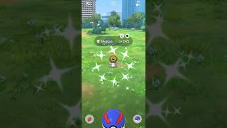 SHINY Meltan Extravaganza Pokémon GO [upl. by Einatsed]