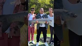 Mach dore meye pagol kre dilo  Fishing Video fish fishing polofishing amazingfishing shorts [upl. by Bonine]