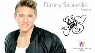 Danny Saucedo  Amazing Audio [upl. by Louanne]