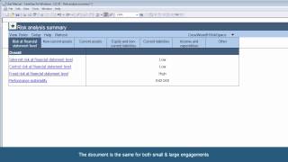 1110 Risk Analysis Summary [upl. by Strickman540]