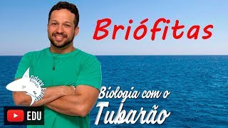 Briófitas  Botânica  Biologia com o Tubarão [upl. by Anitsirk]