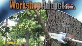 Stihl KombiSystem Pole Pruner Attachment Review [upl. by Sinylg]