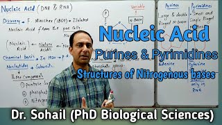 Nucleic Acid  Purine amp Pyrimidines  Nucleotide amp Nucleoside  Differences between DNA amp RNA [upl. by Noslen]