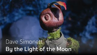 Dave Simonett  By the Light of the Moon Official Video [upl. by Acila]