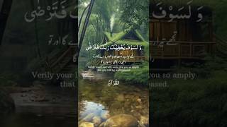 Stressless quran recitation with translation qurantilawathearttouchingvoice quran shorts [upl. by Aniela]