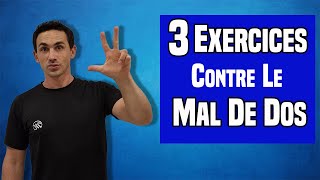 3 Exercices EFFICACES pour soulager le mal de dos [upl. by Enyrehtak]